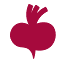 Beetroot Academy