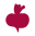 Beetroot