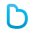 Brain