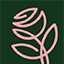 Camellia